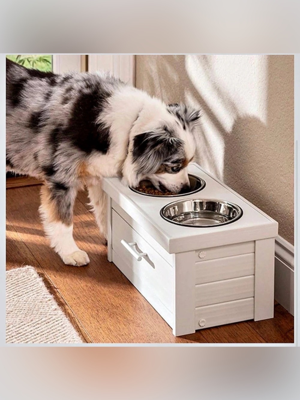 New Age Pet Elevated Double Dog Bowl Feeder BLACK